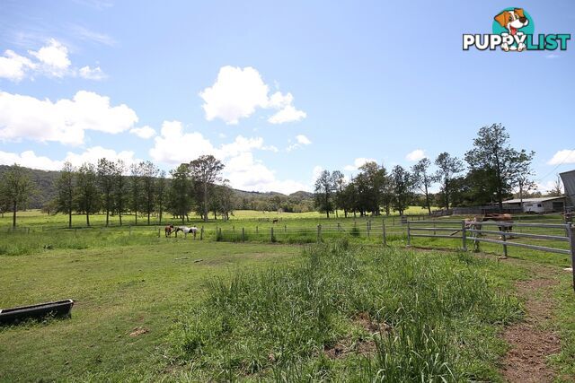 769 Neusa Vale Road Neusa Vale QLD 4570