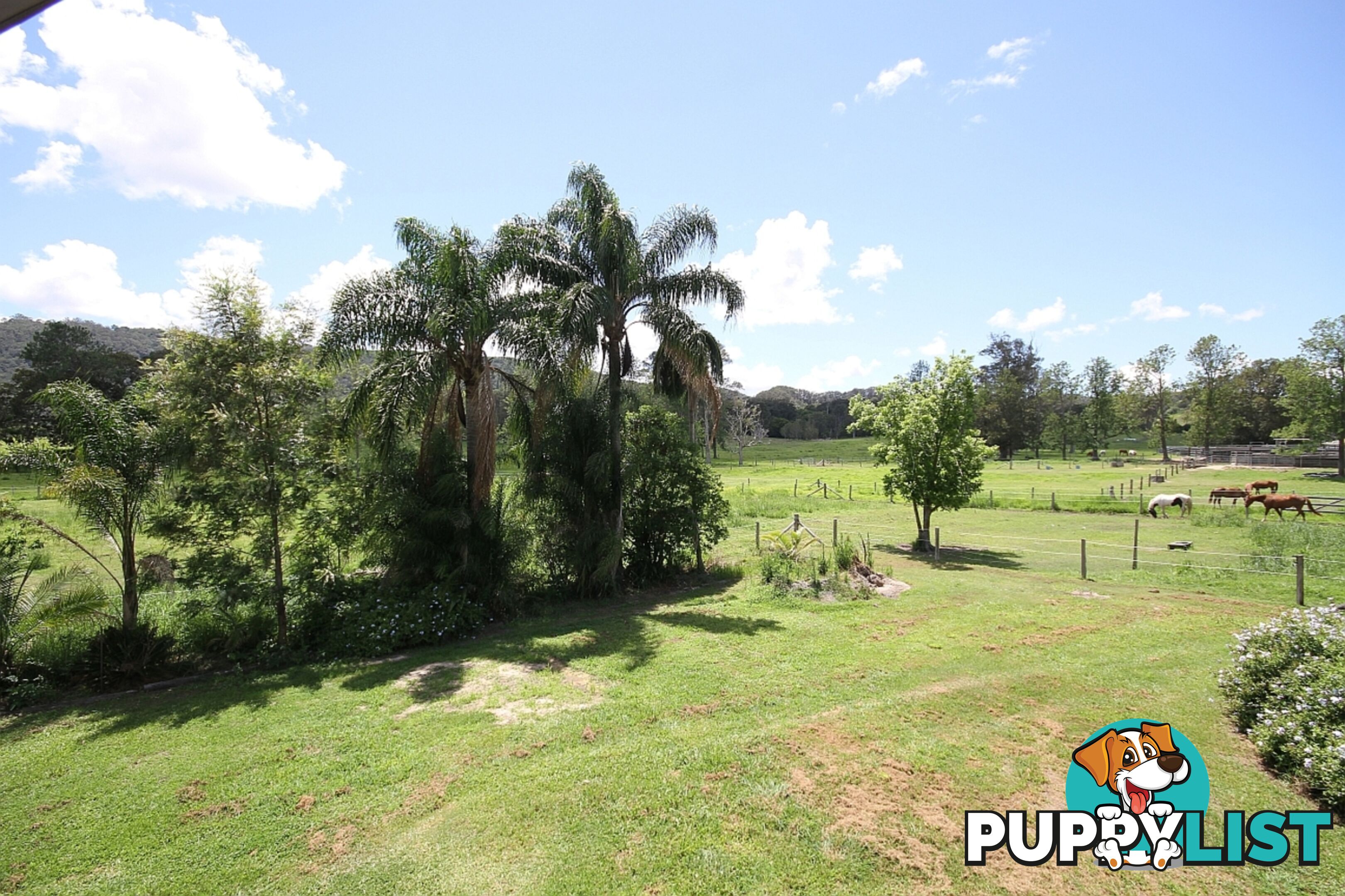 769 Neusa Vale Road Neusa Vale QLD 4570