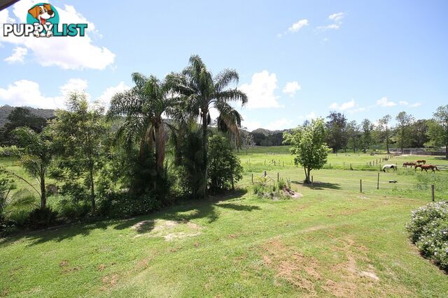 769 Neusa Vale Road Neusa Vale QLD 4570