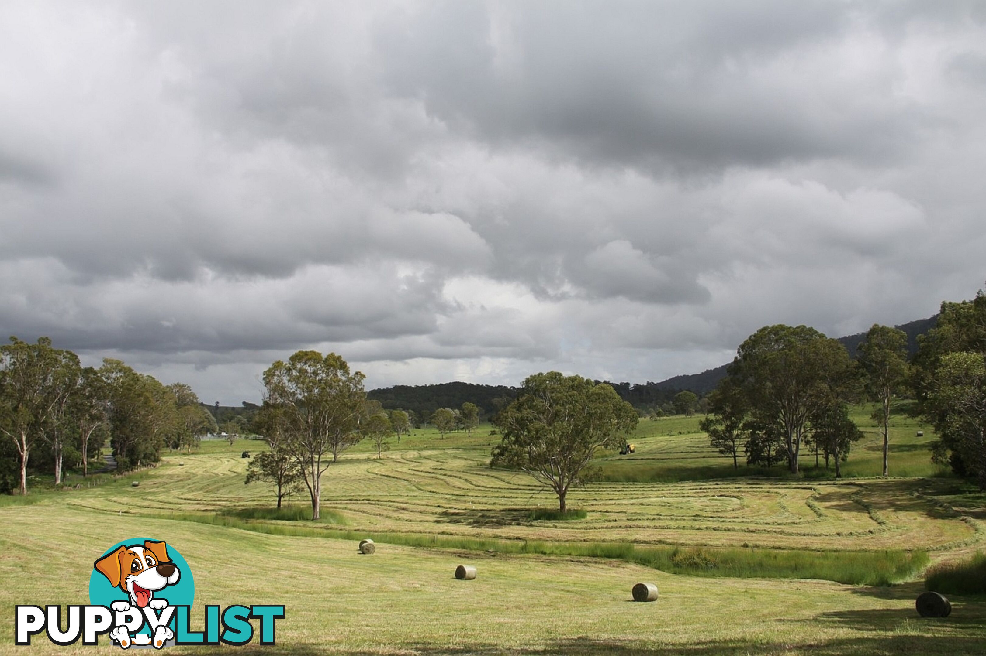 769 Neusa Vale Road Neusa Vale QLD 4570