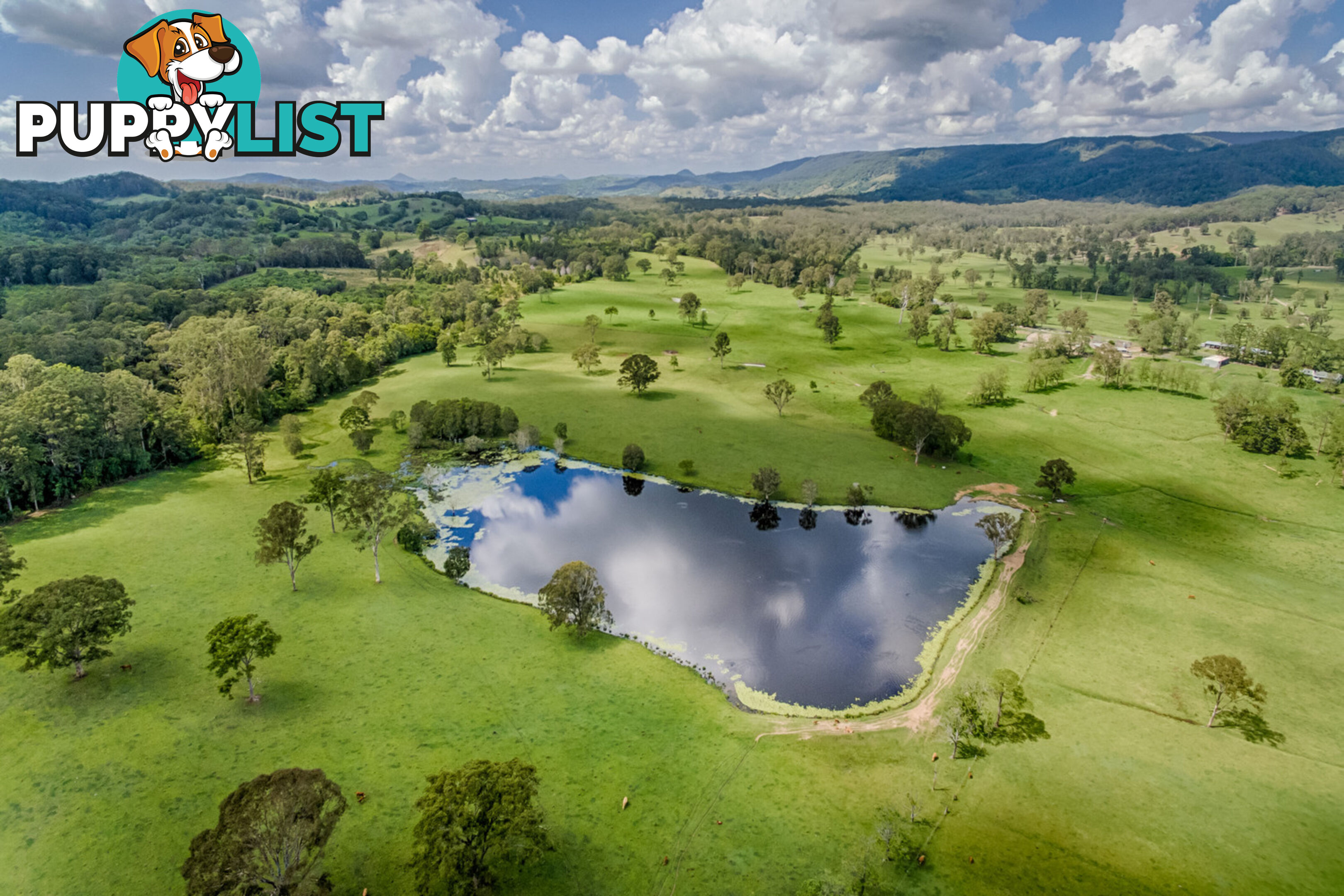 769 Neusa Vale Road Neusa Vale QLD 4570