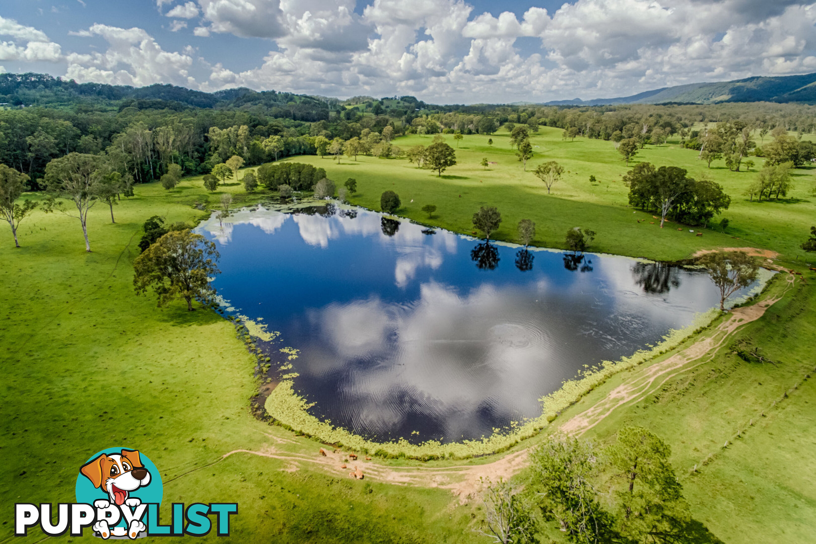 769 Neusa Vale Road Neusa Vale QLD 4570