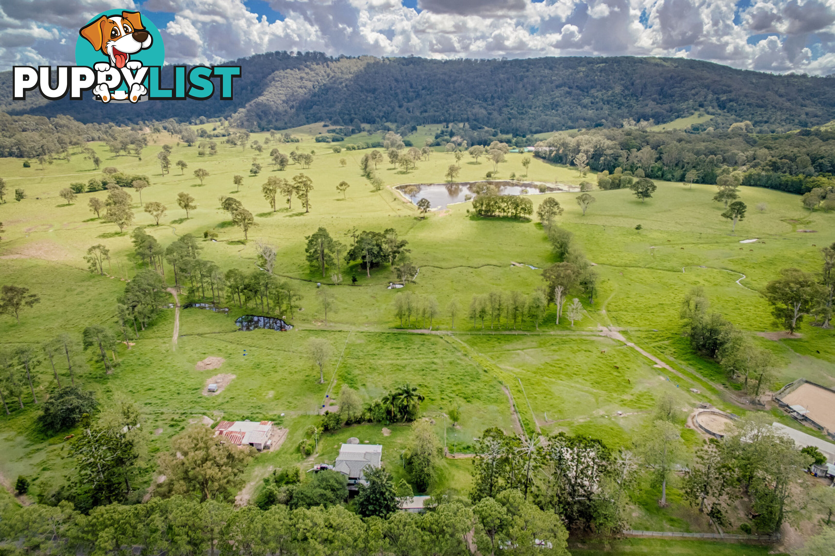 769 Neusa Vale Road Neusa Vale QLD 4570