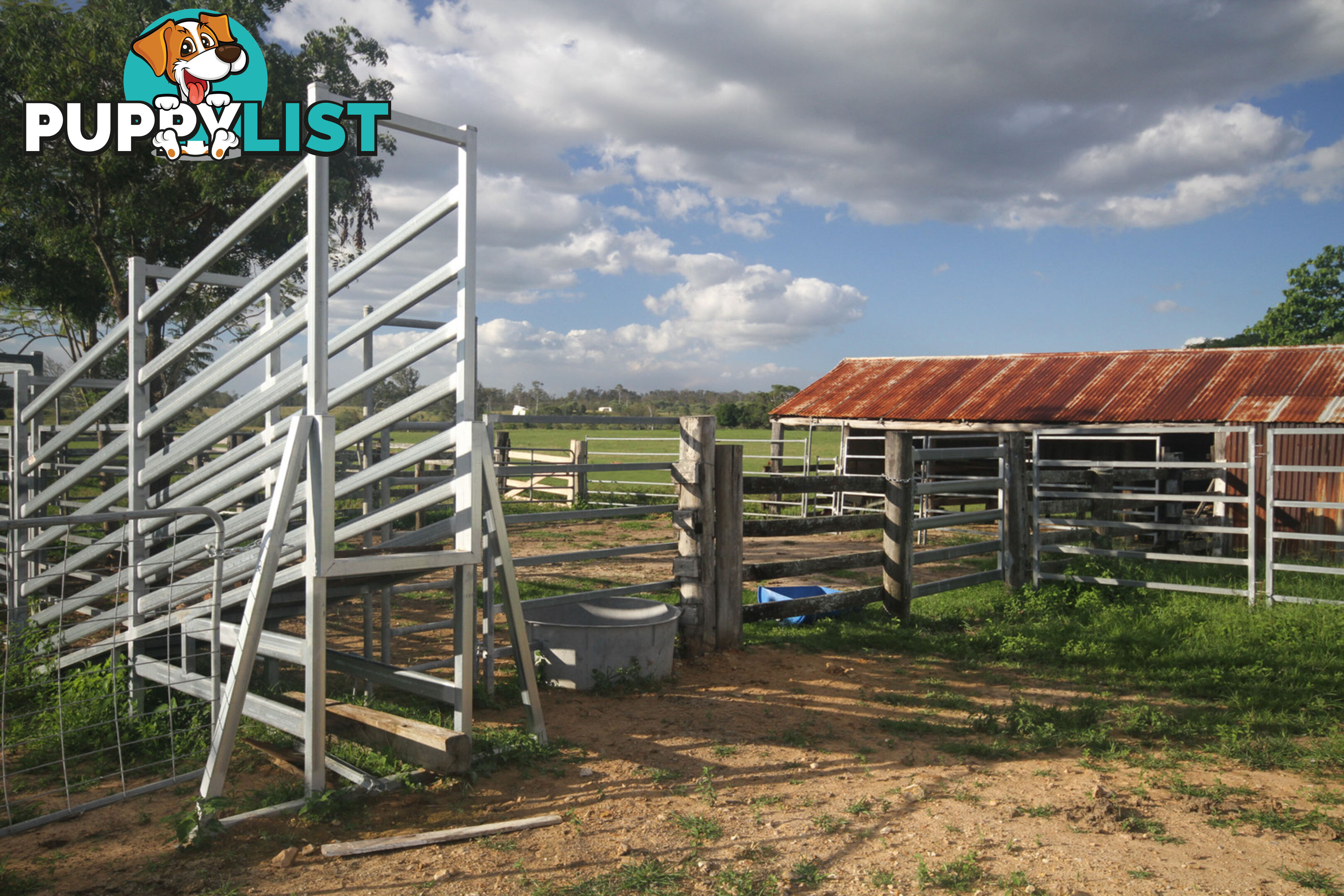 250 Jessen Road Gundiah QLD 4650