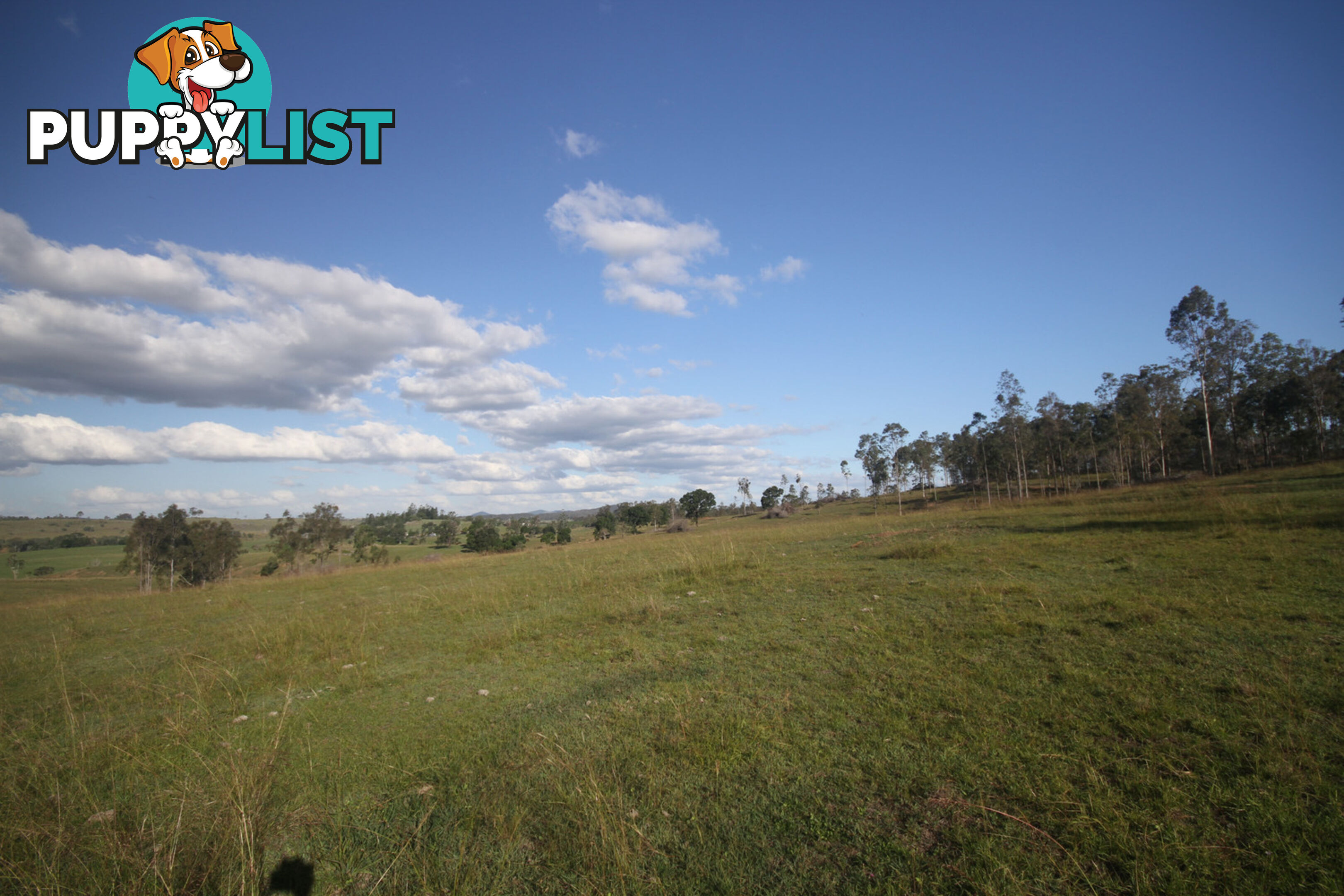 250 Jessen Road Gundiah QLD 4650