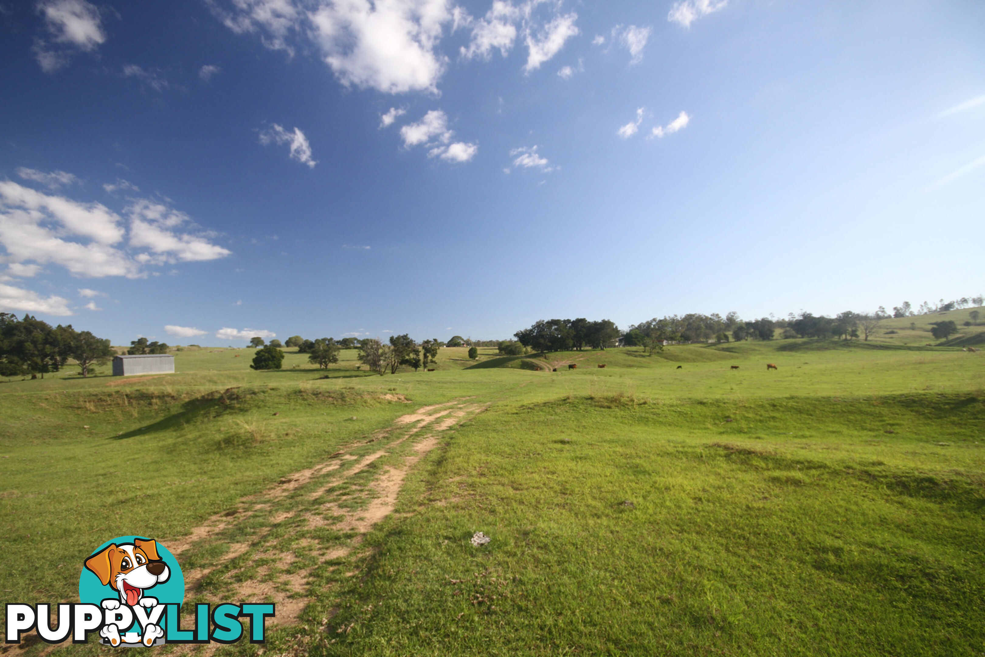 250 Jessen Road Gundiah QLD 4650