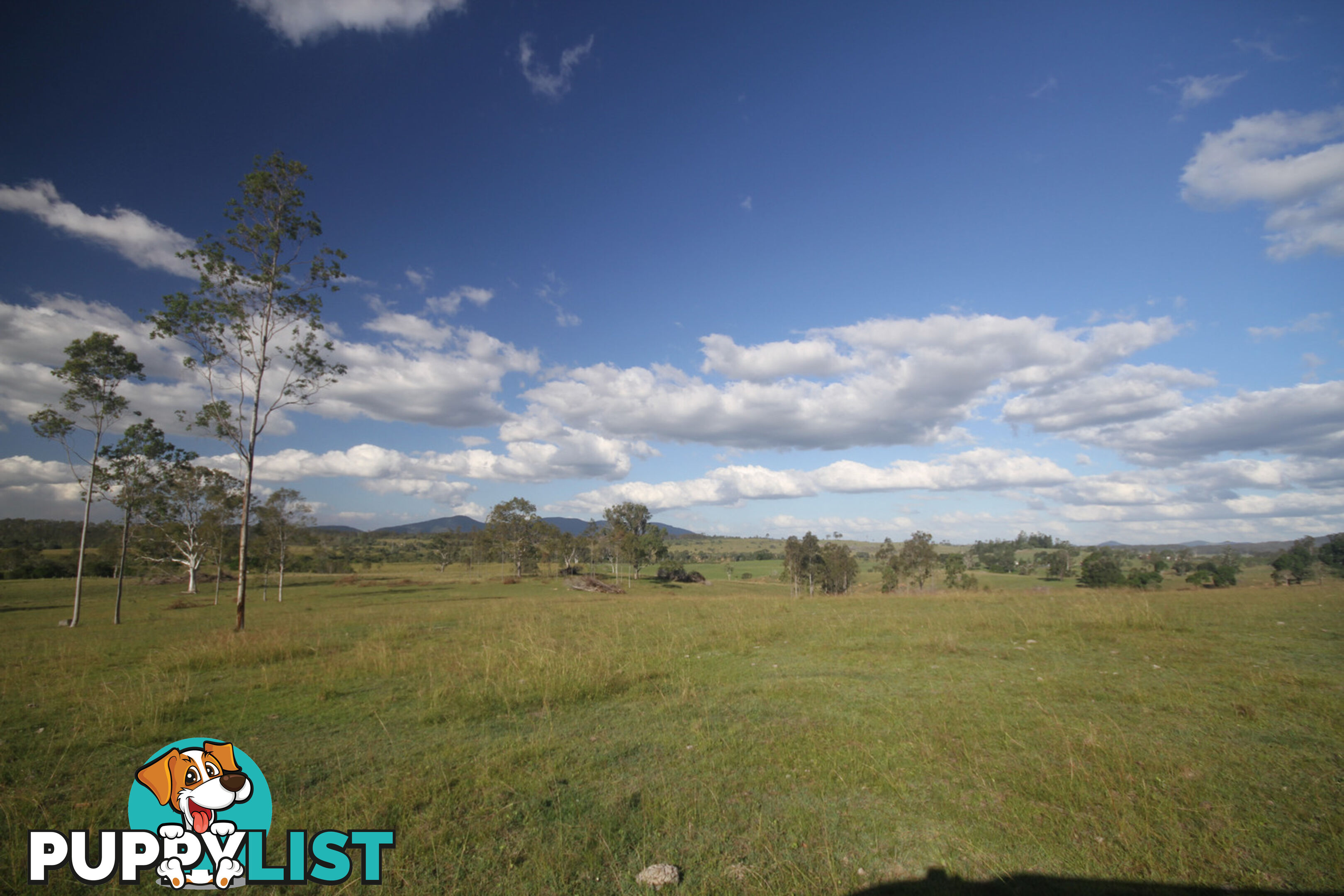 250 Jessen Road Gundiah QLD 4650