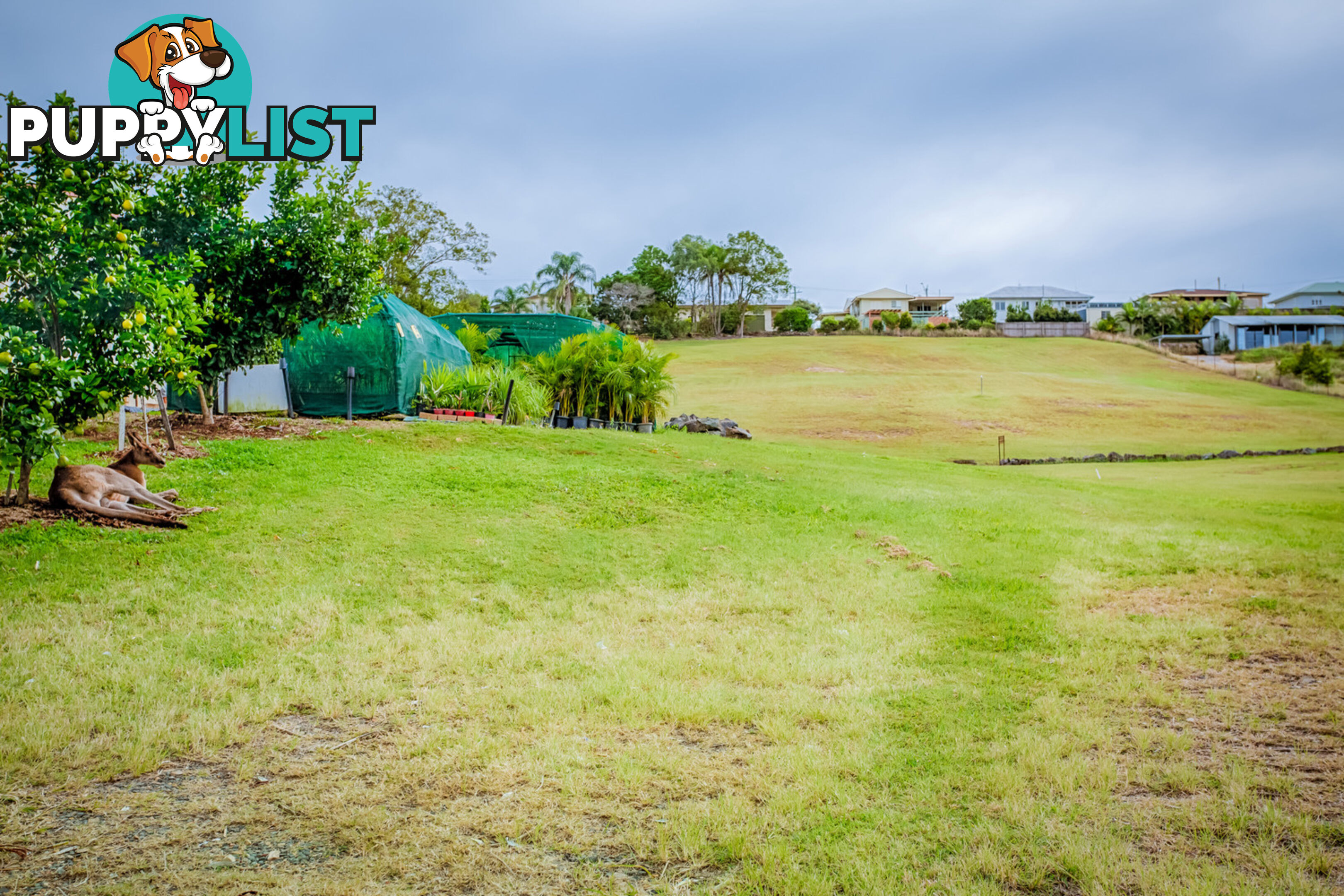 2 Palm Crescent Gympie QLD 4570