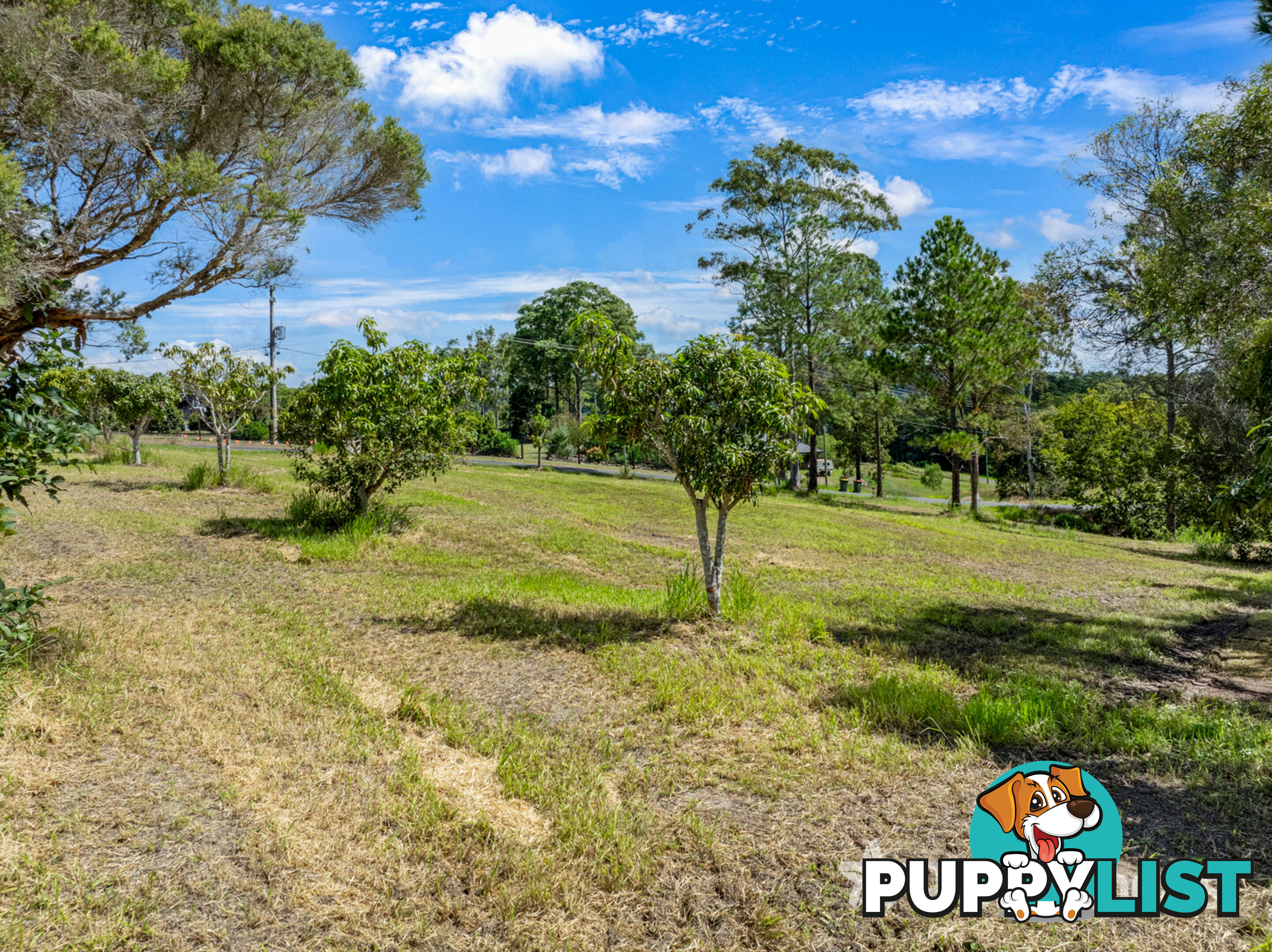 4 Newfarm Road Chatsworth QLD 4570