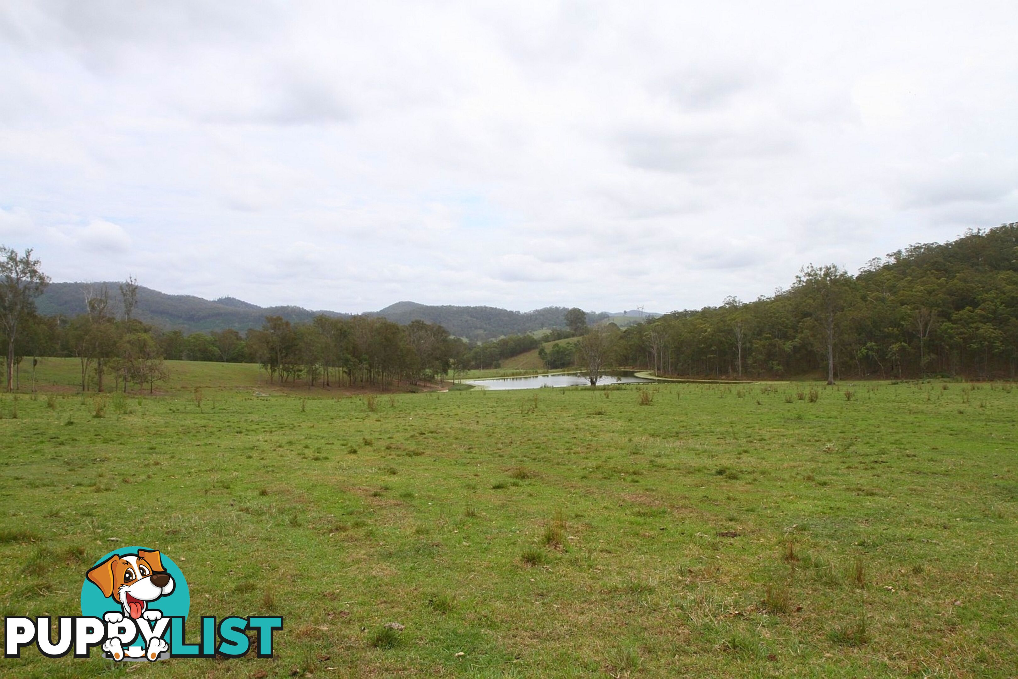 4015 Mary Valley Road Brooloo QLD 4570