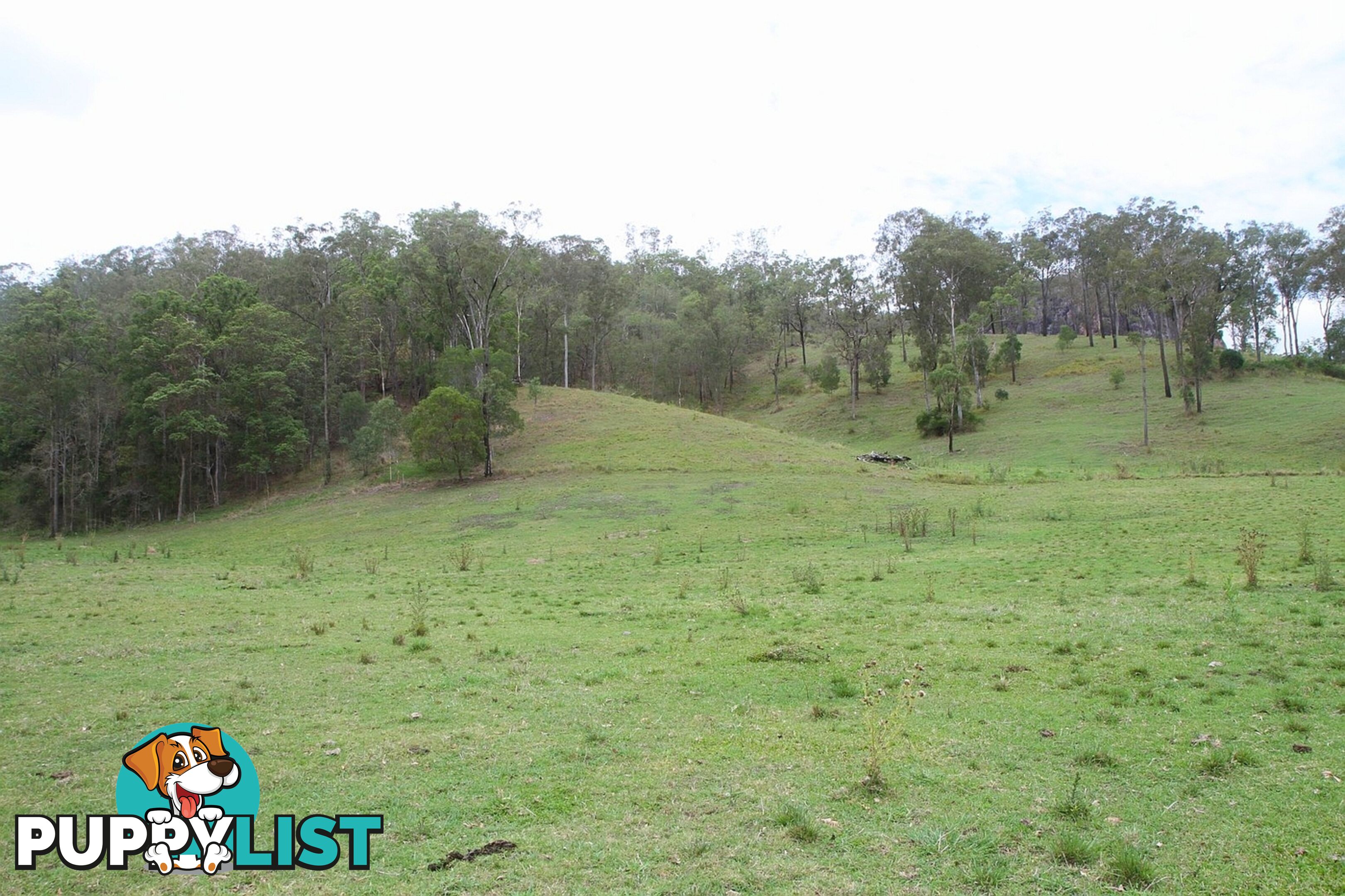 4015 Mary Valley Road Brooloo QLD 4570