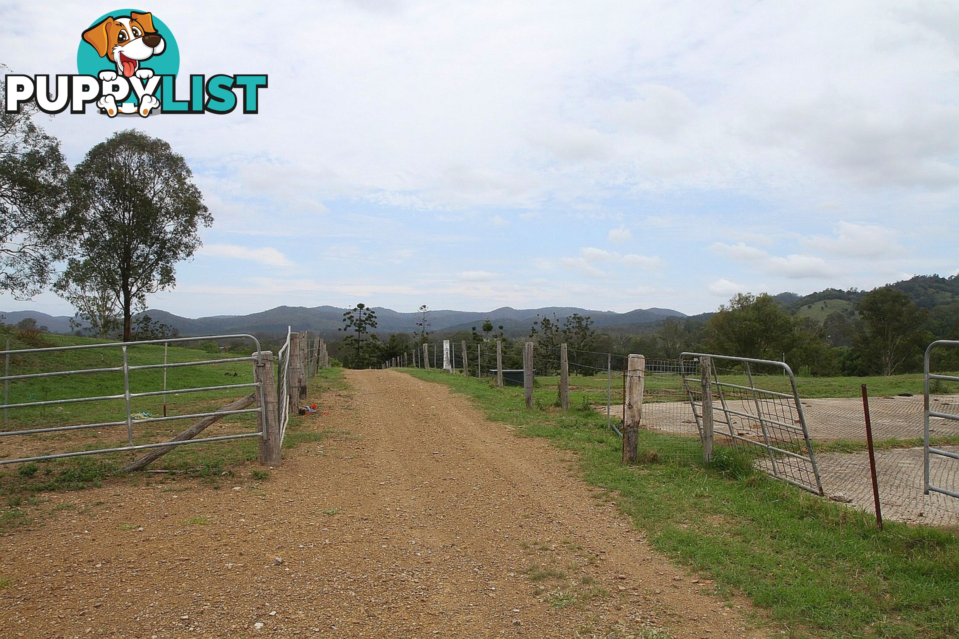 4015 Mary Valley Road Brooloo QLD 4570