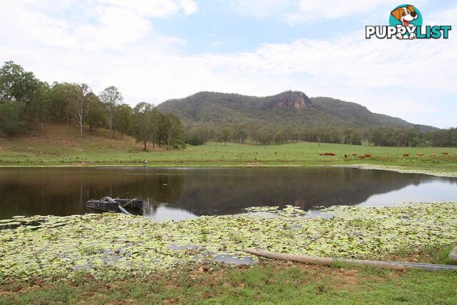 4015 Mary Valley Road Brooloo QLD 4570