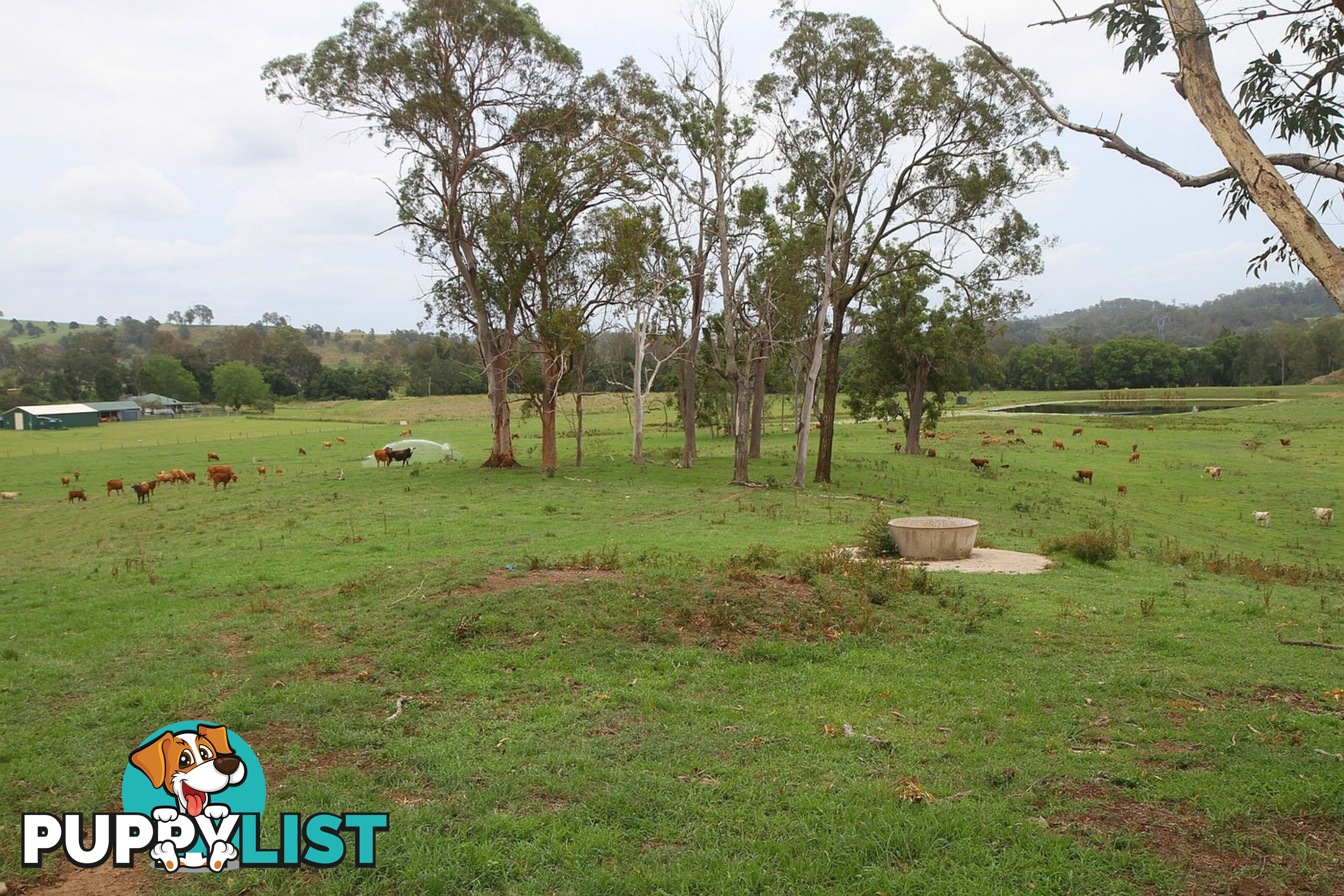 4015 Mary Valley Road Brooloo QLD 4570