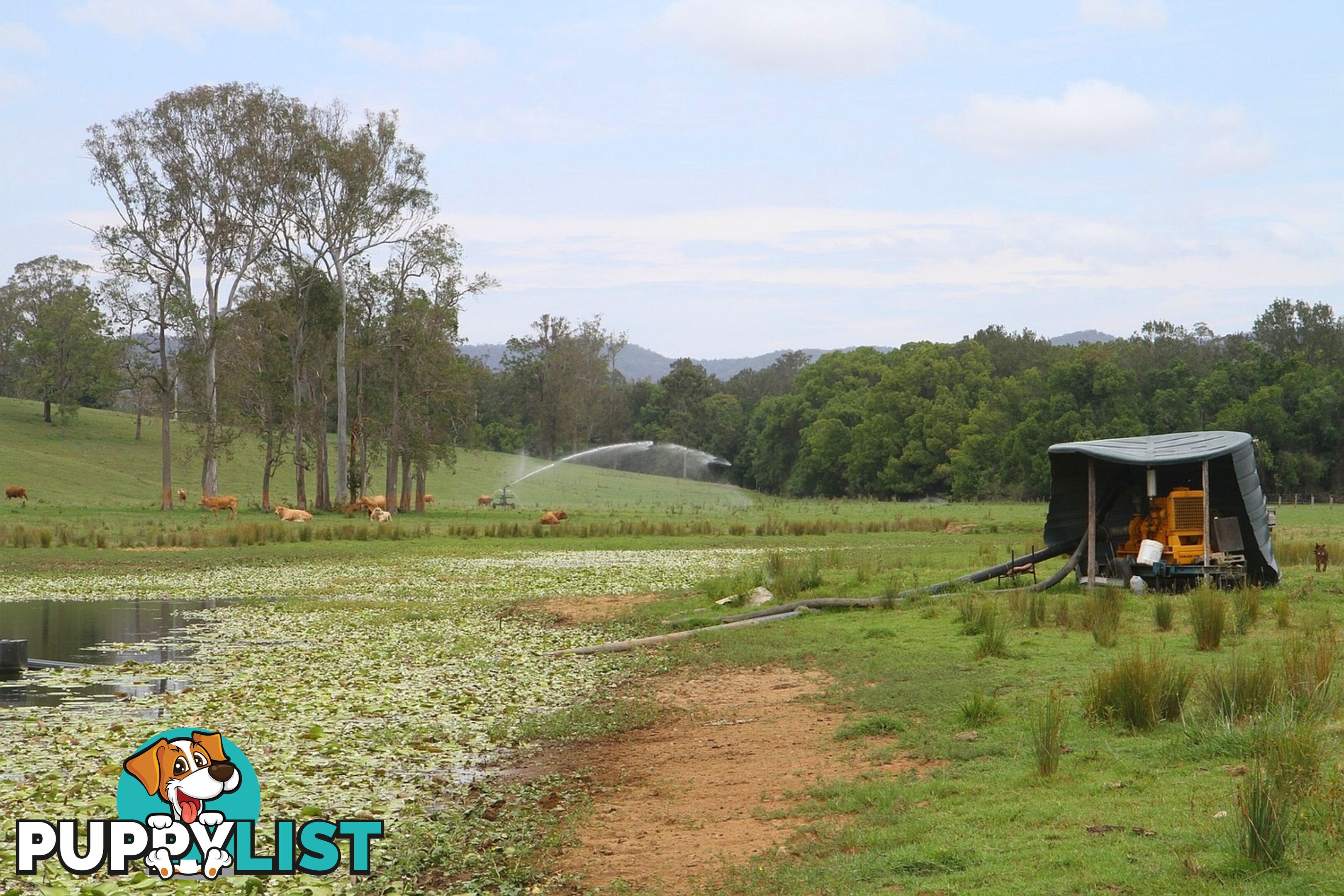 4015 Mary Valley Road Brooloo QLD 4570