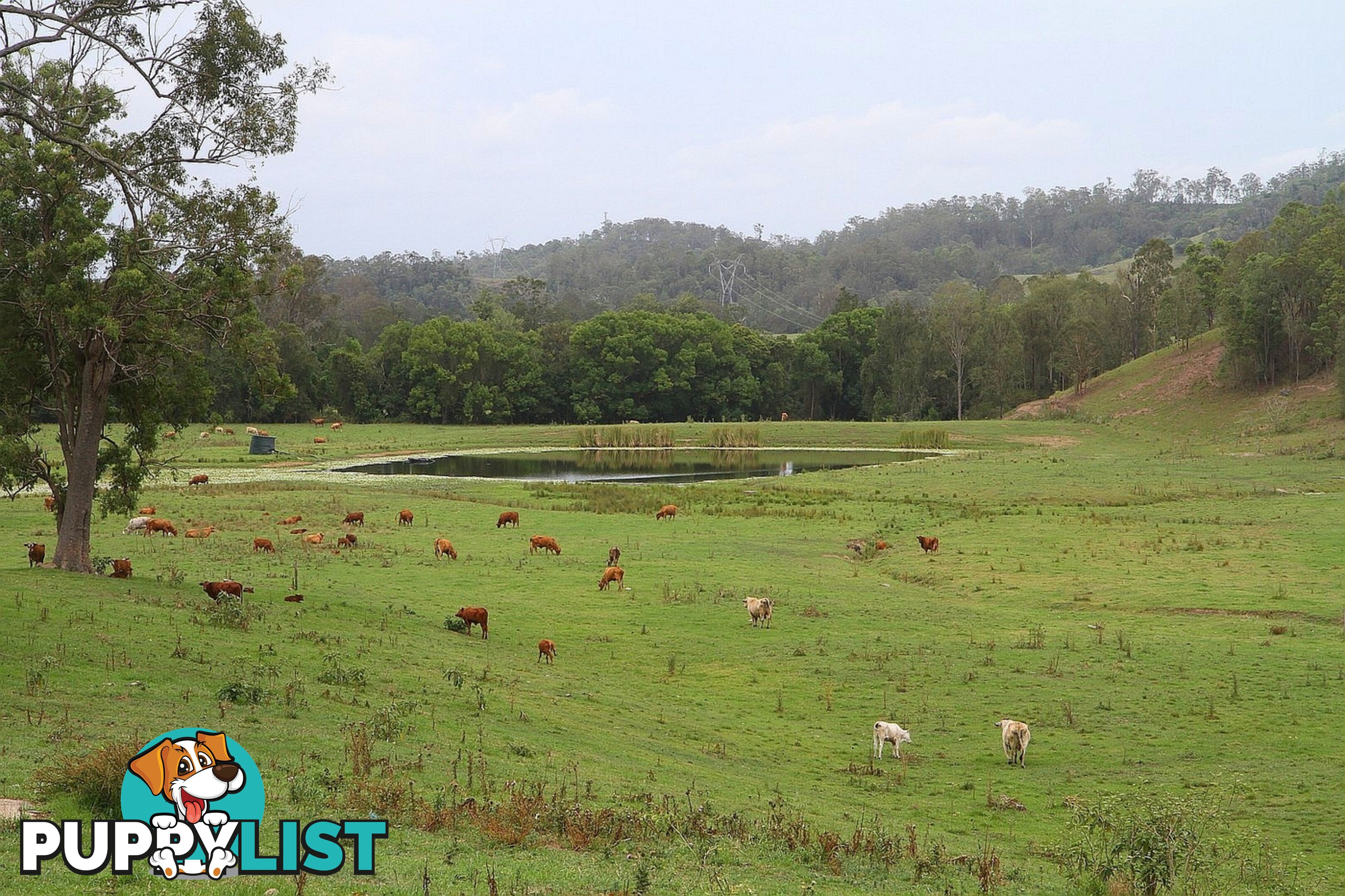 4015 Mary Valley Road Brooloo QLD 4570