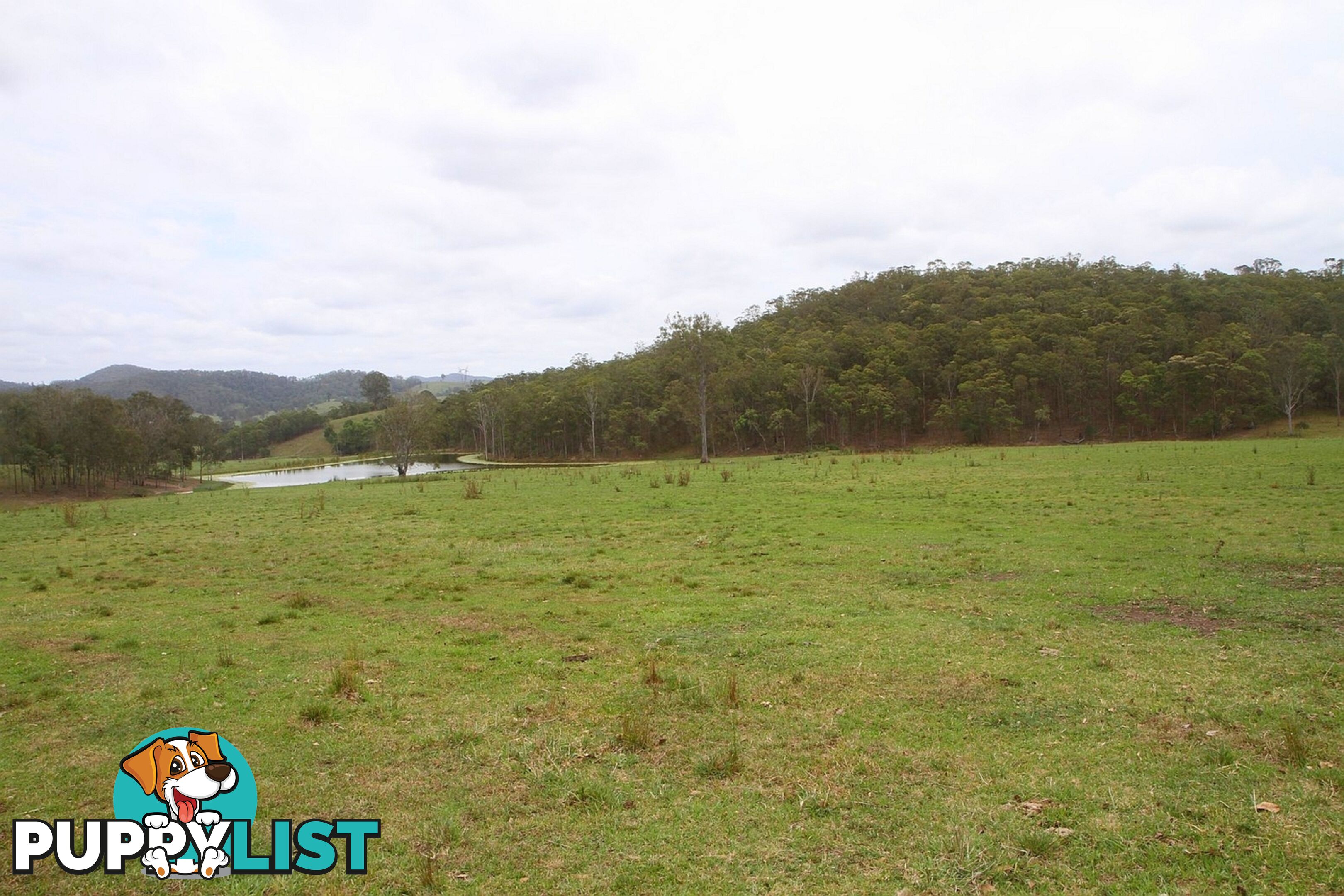 4015 Mary Valley Road Brooloo QLD 4570