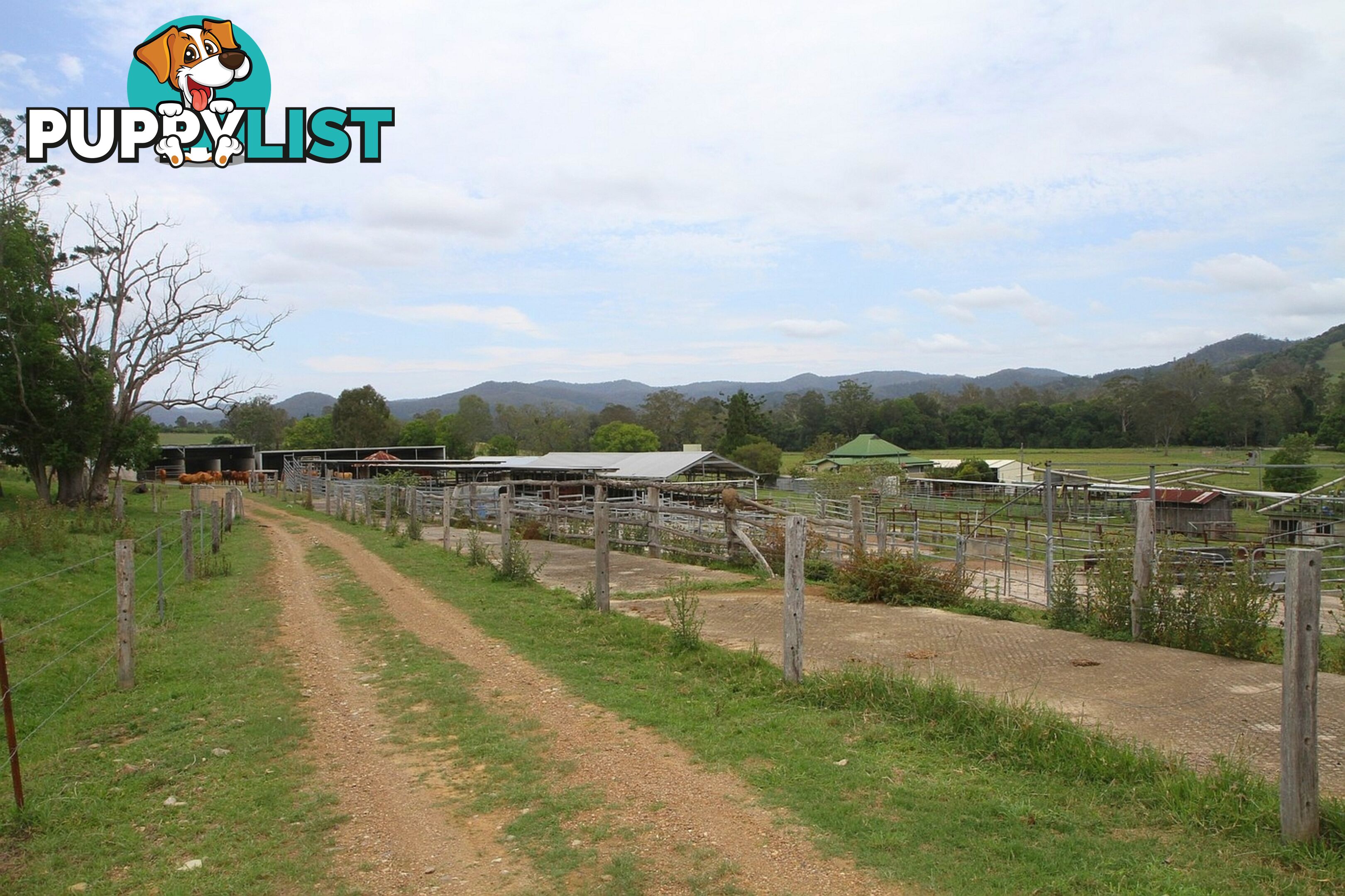 4015 Mary Valley Road Brooloo QLD 4570