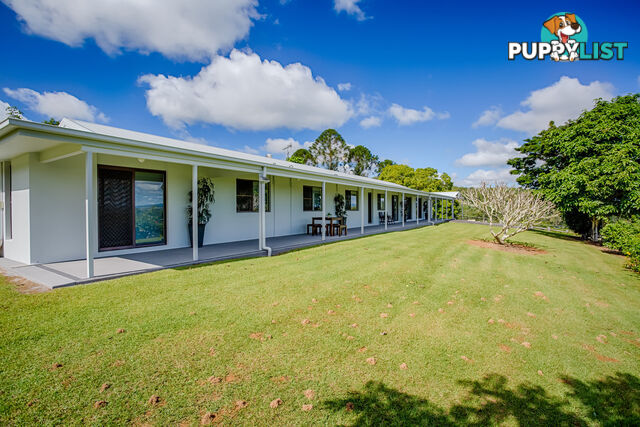 568 Coles Creek Road Cooran QLD 4569