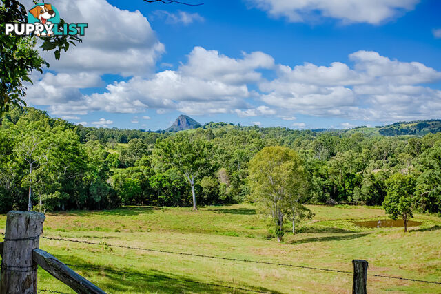 568 Coles Creek Road Cooran QLD 4569