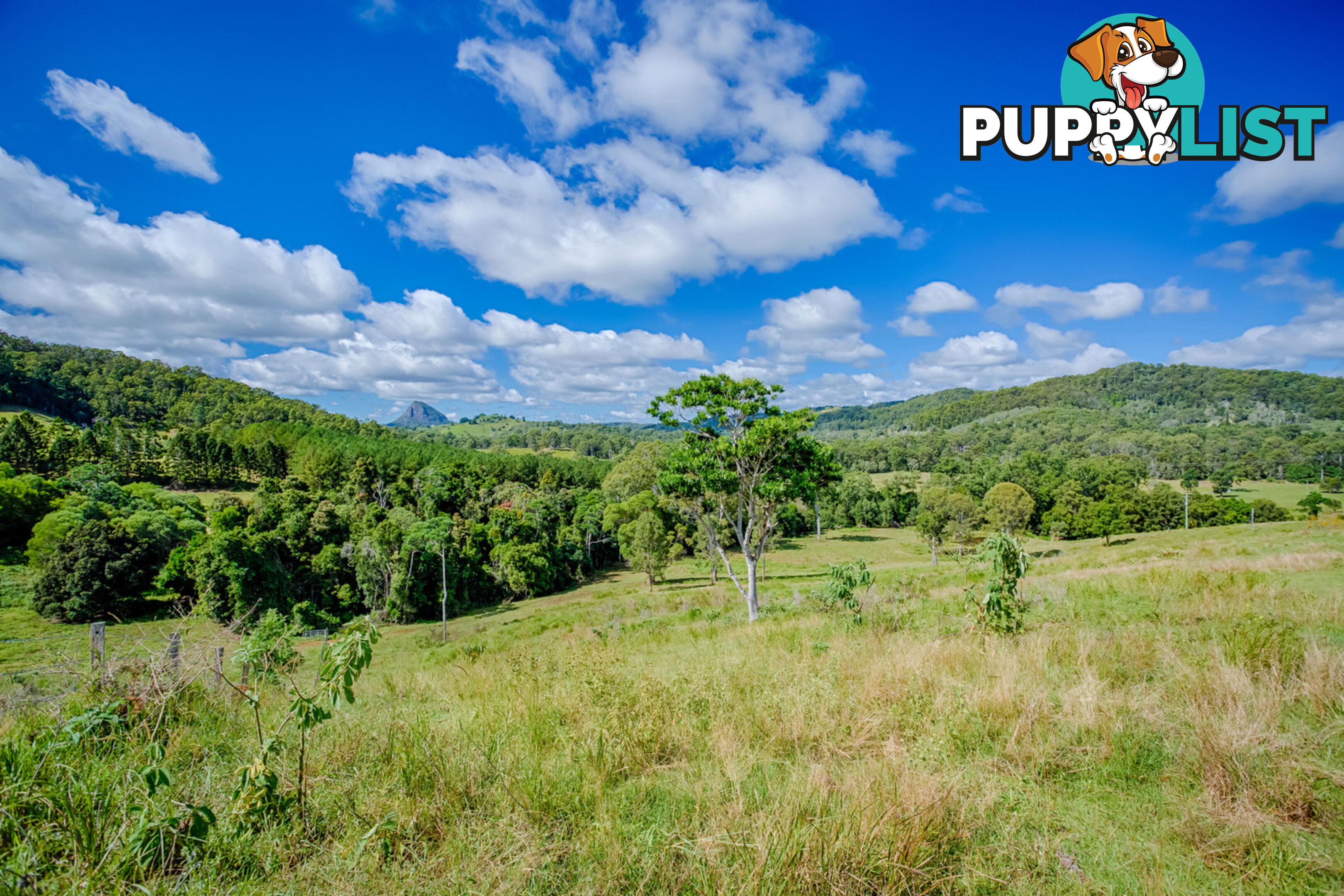 568 Coles Creek Road Cooran QLD 4569