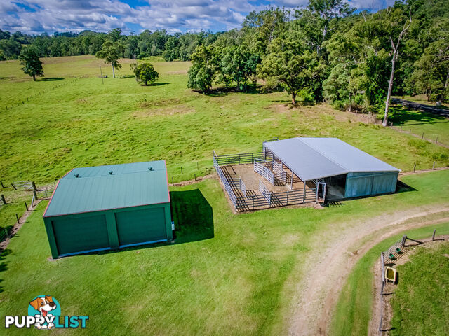 568 Coles Creek Road Cooran QLD 4569