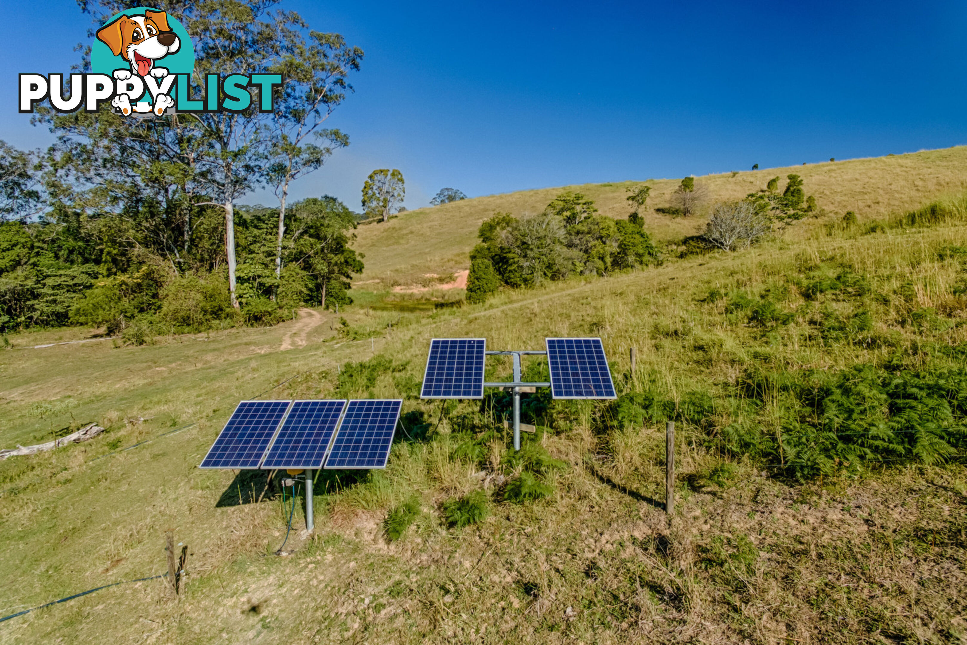 317 Lawnville Road Black Mountain QLD 4563