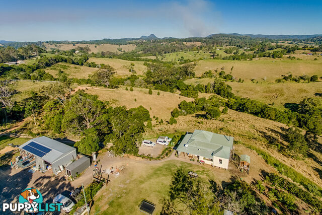 317 Lawnville Road Black Mountain QLD 4563