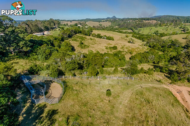 317 Lawnville Road Black Mountain QLD 4563