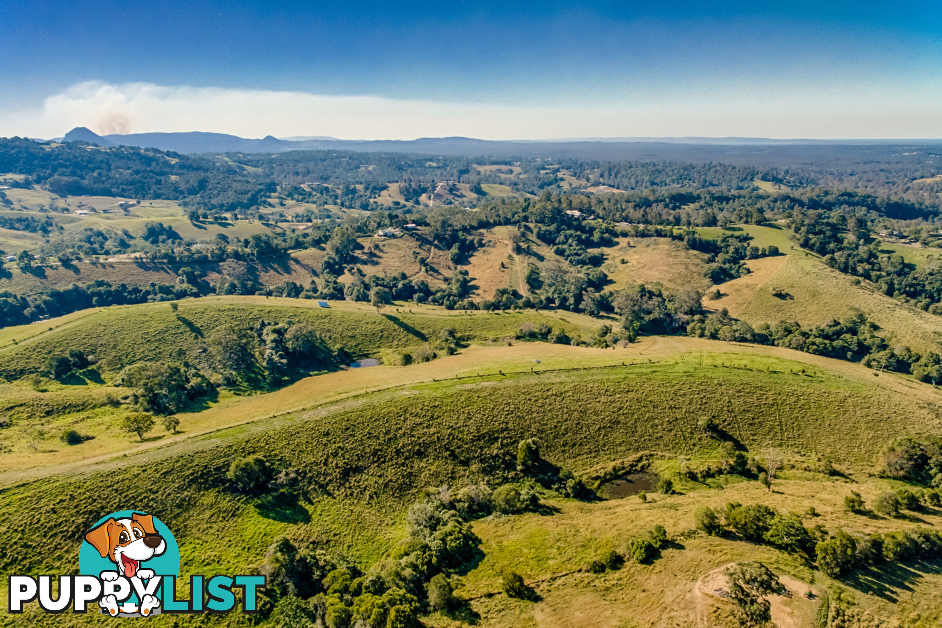 317 Lawnville Road Black Mountain QLD 4563