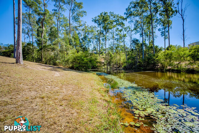 7 Flametree Court Tamaree QLD 4570