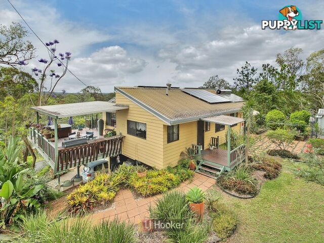 6 Tecoma Street KINGSTON QLD 4114