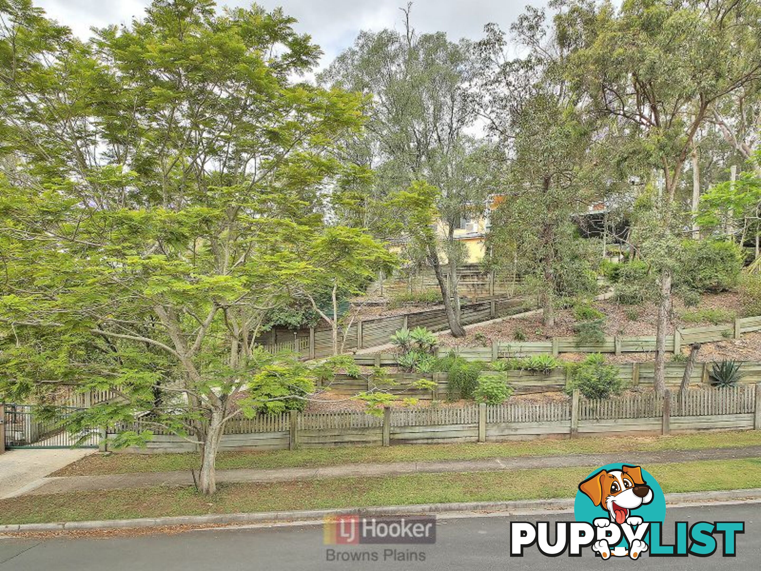 6 Tecoma Street KINGSTON QLD 4114