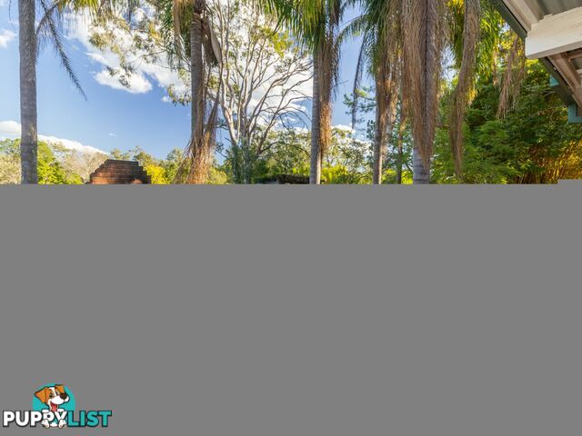 3987 Mount Lindesay Highway PARK RIDGE SOUTH QLD 4125