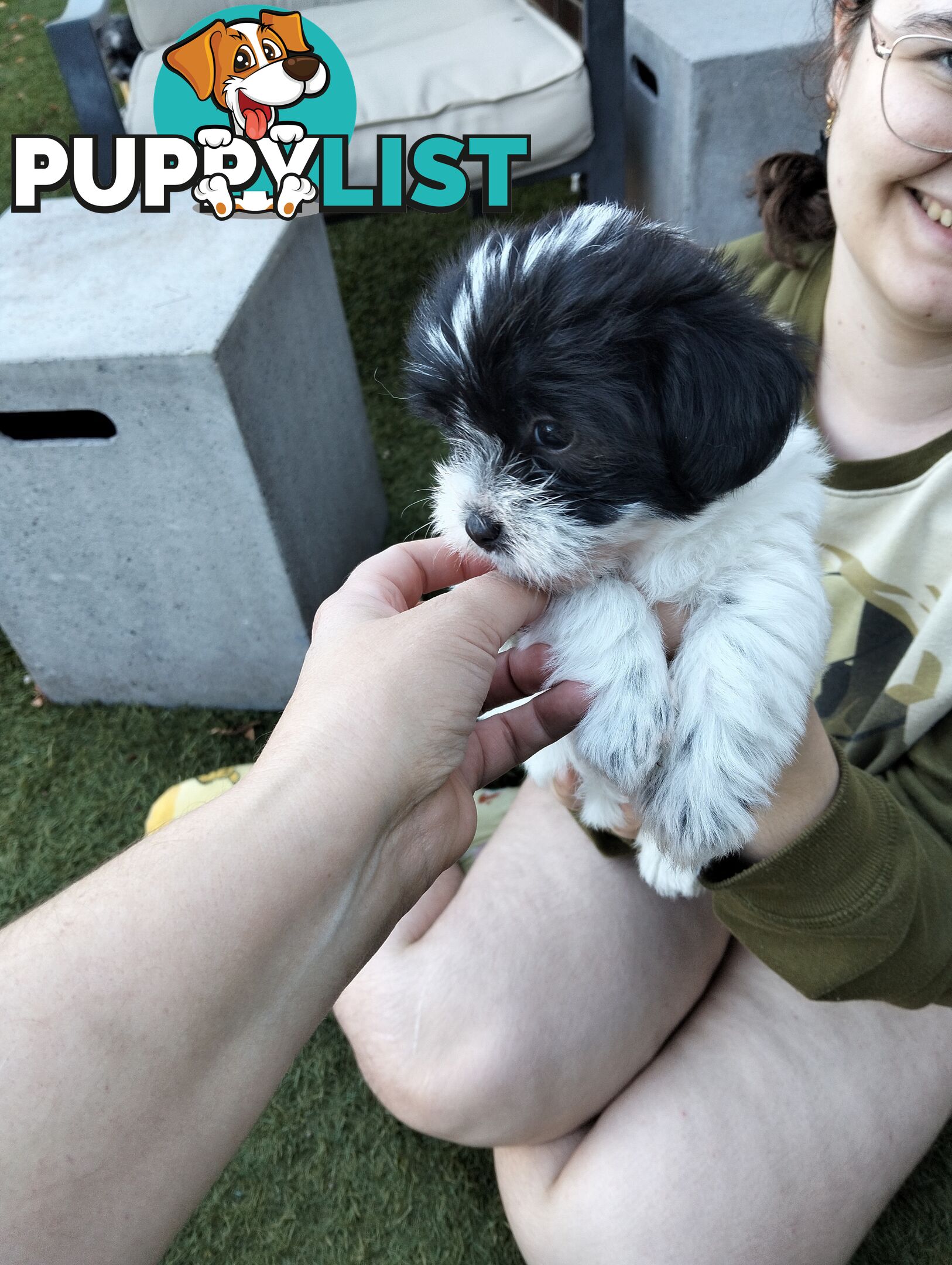 9 wk old puppies ready 2 go home with U today