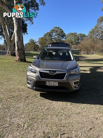 2020 Subaru Forester CVT Wagon