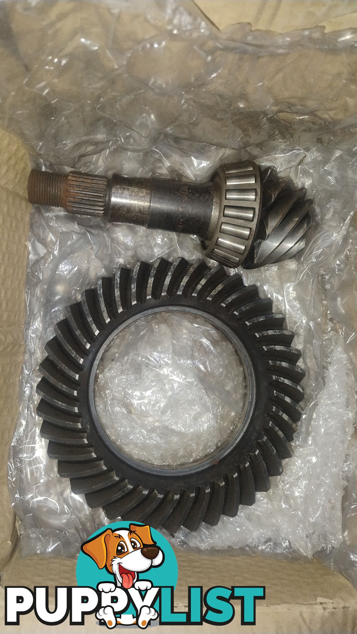 V8 10 bolt Salisbury diff gears 4.44ratio