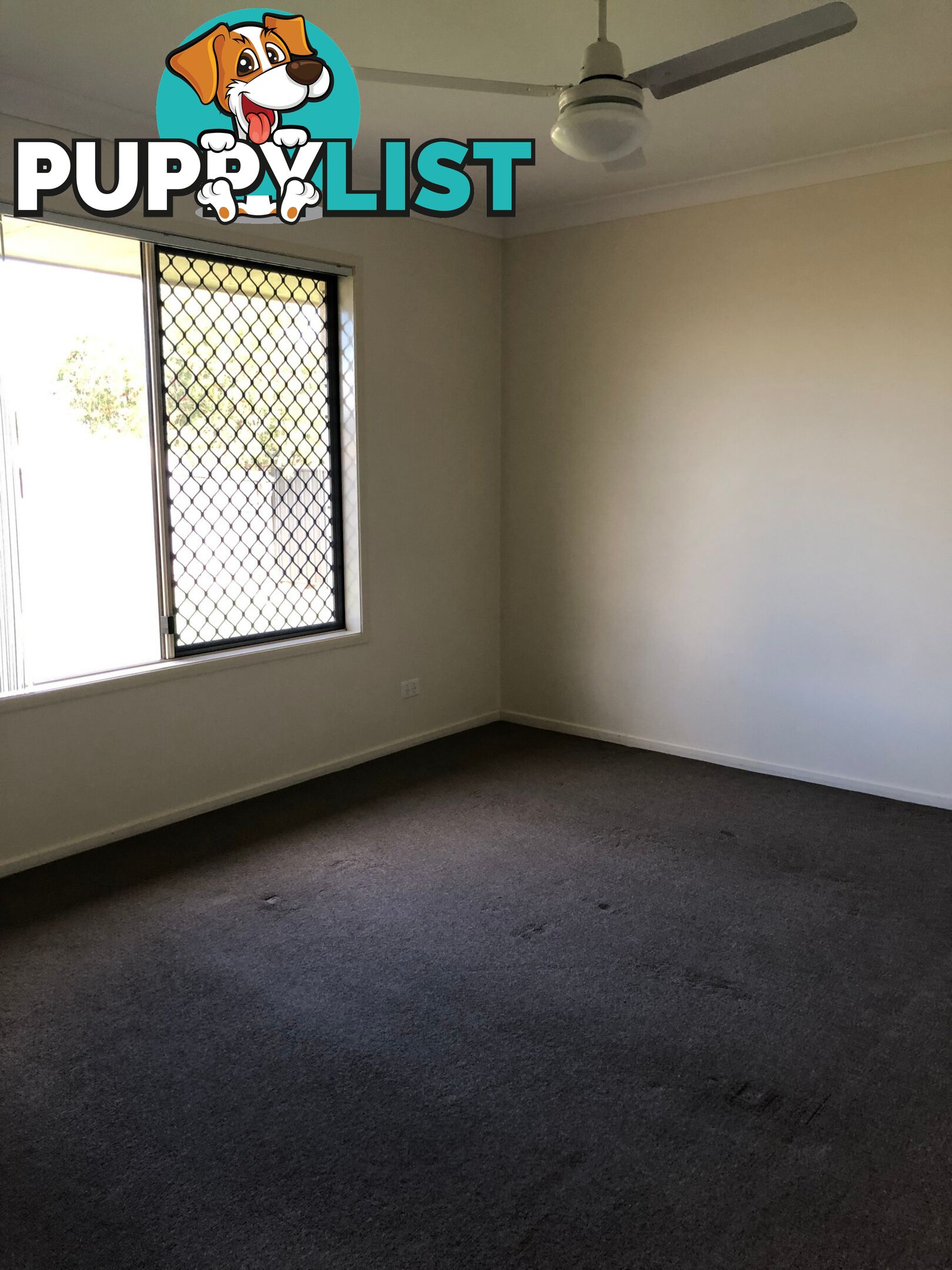 24 Burswood Street WULKURAKA QLD 4305