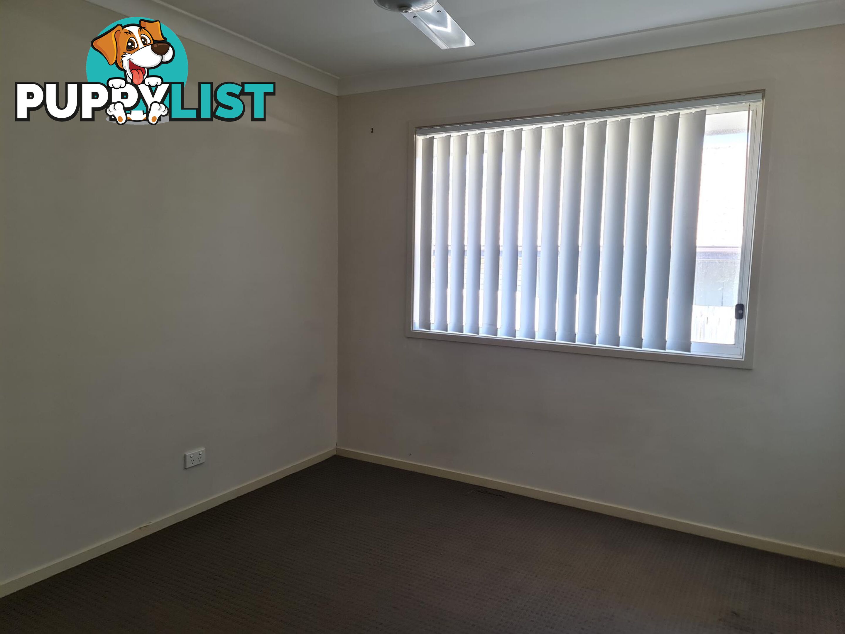 87 Aramac Street BRASSALL QLD 4305