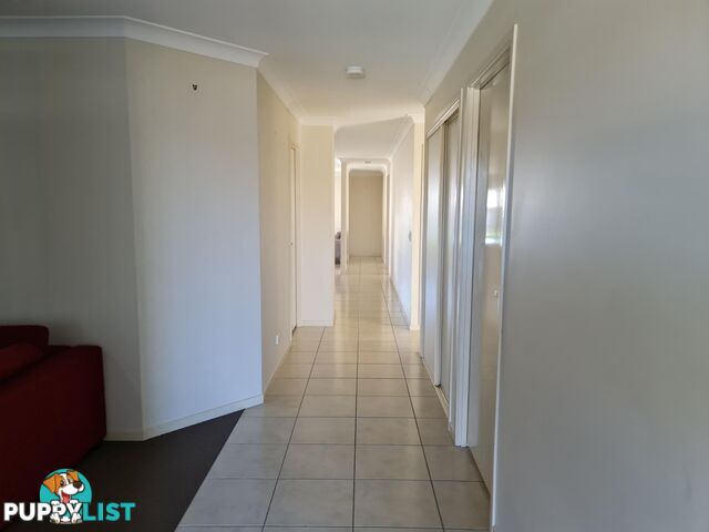 87 Aramac Street BRASSALL QLD 4305