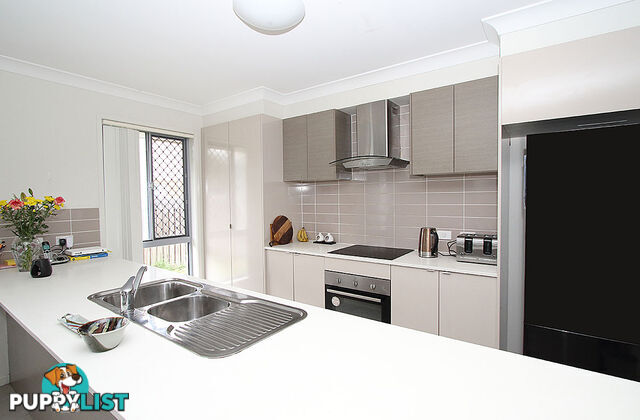 42 Pendragon Street RACEVIEW QLD 4305