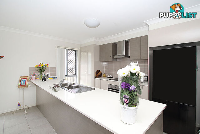 42 Pendragon Street RACEVIEW QLD 4305