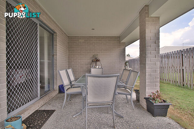 42 Pendragon Street RACEVIEW QLD 4305