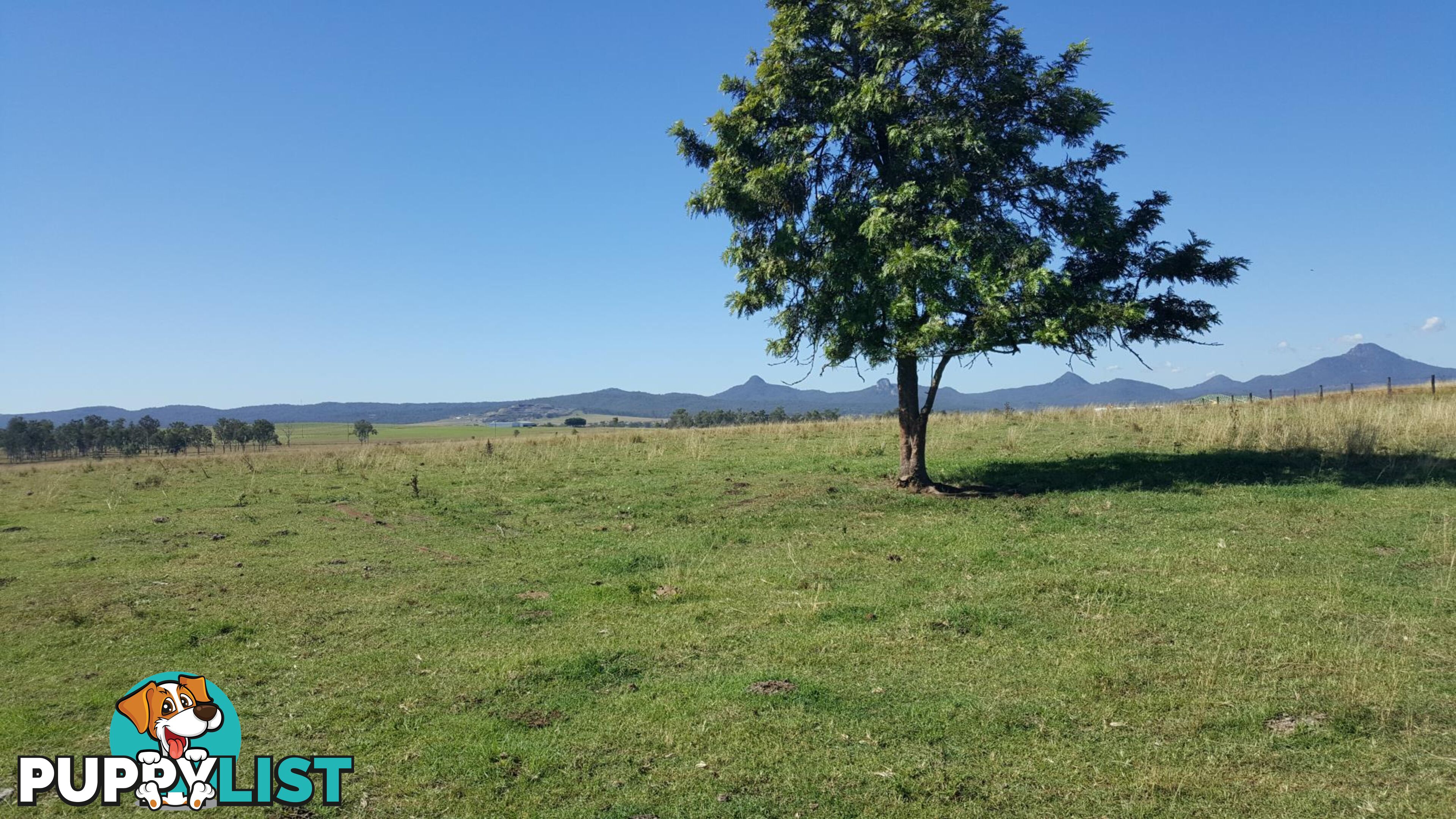 L133/1149-1167 Middle Road PEAK CROSSING QLD 4306