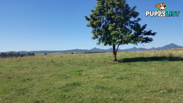 L133/1149-1167 Middle Road PEAK CROSSING QLD 4306