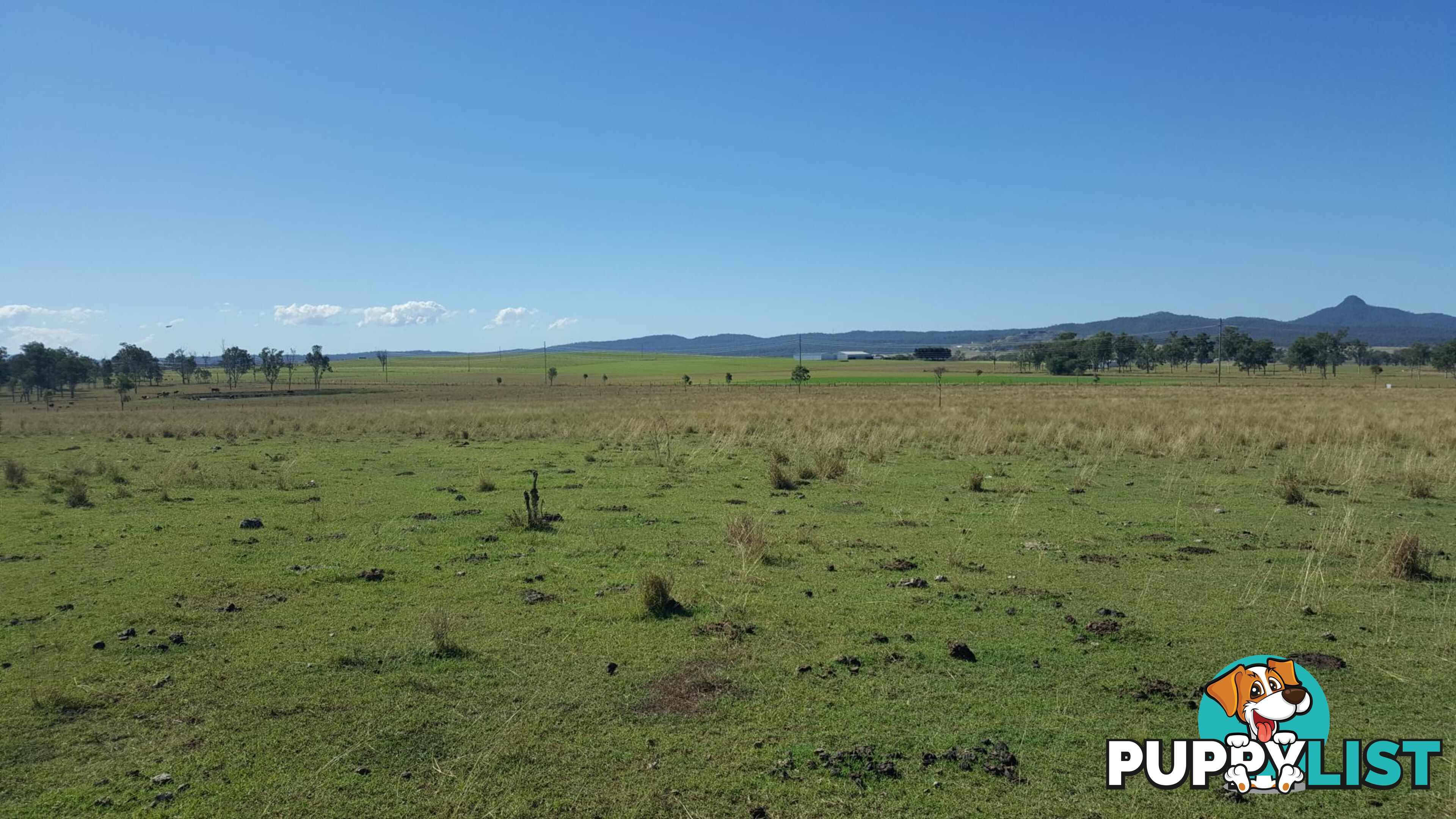 L133/1149-1167 Middle Road PEAK CROSSING QLD 4306