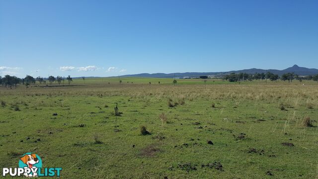 L133/1149-1167 Middle Road PEAK CROSSING QLD 4306