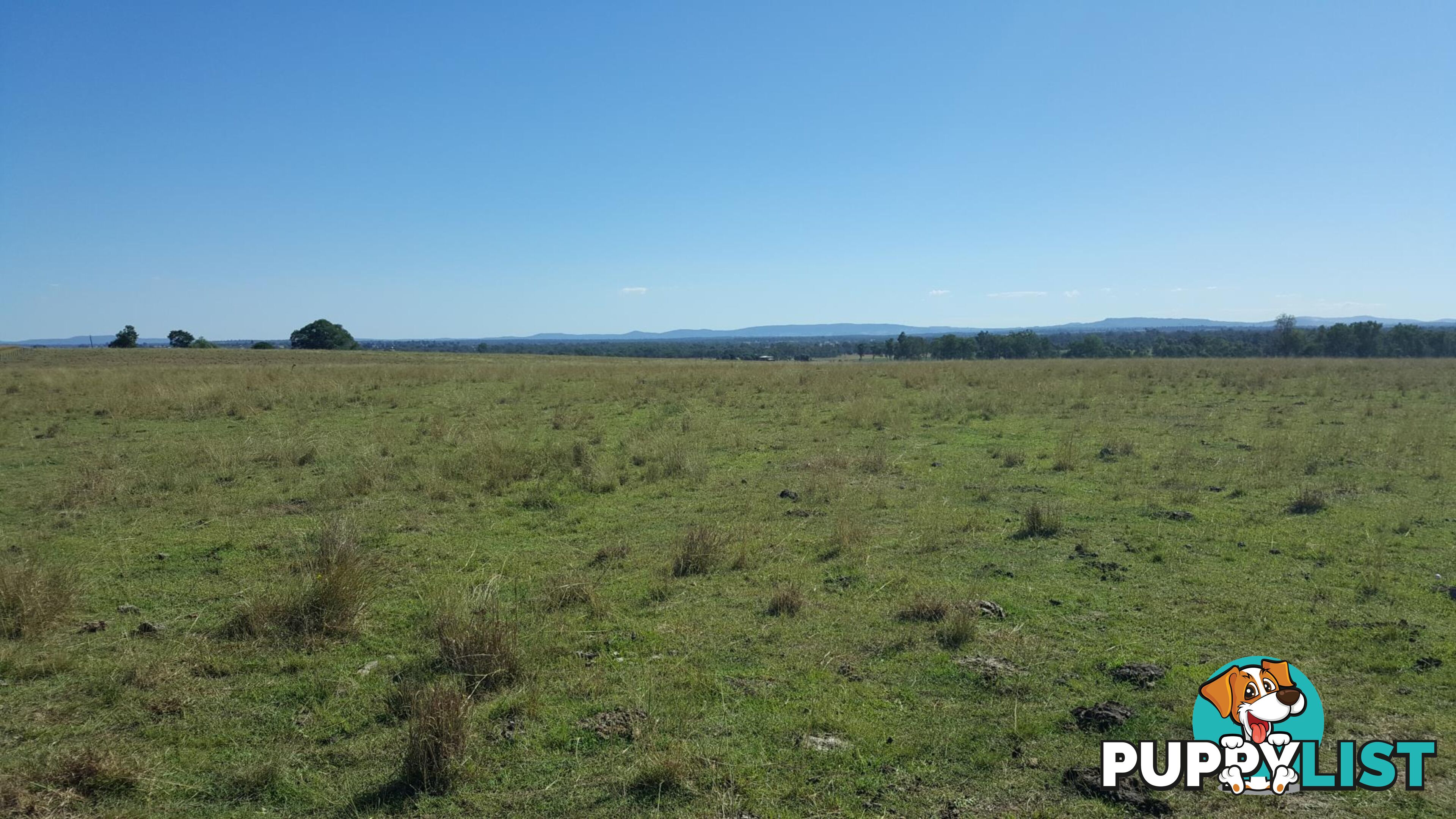 L133/1149-1167 Middle Road PEAK CROSSING QLD 4306