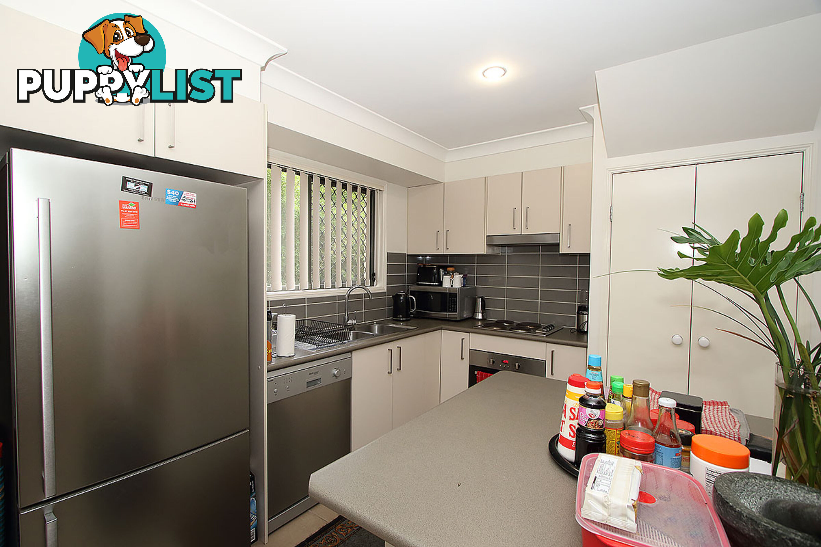 15 Calimon Court COALFALLS QLD 4305