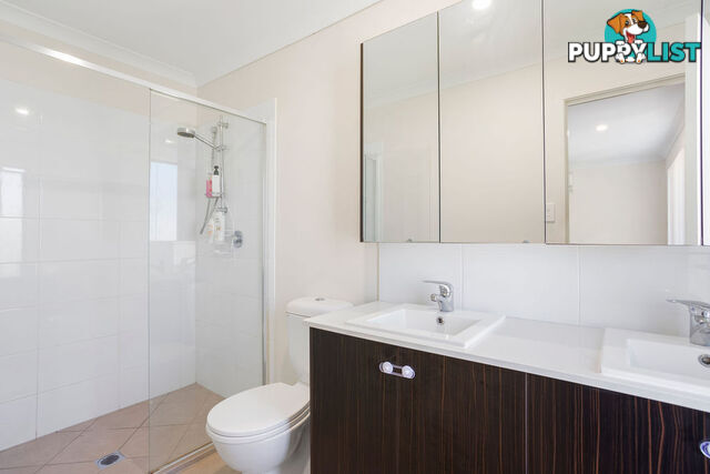 31/21 Springfield Parkway SPRINGFIELD QLD 4300